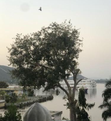 Udaipur District Hotel | Lake Pichola Hibiscus Hotel
