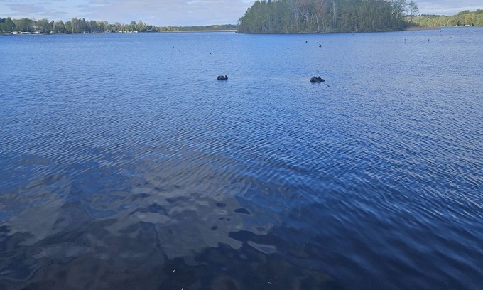 Victoria Road House | Lakefront trailer for rent, in Kawthra Lakes, on 1 acre of land