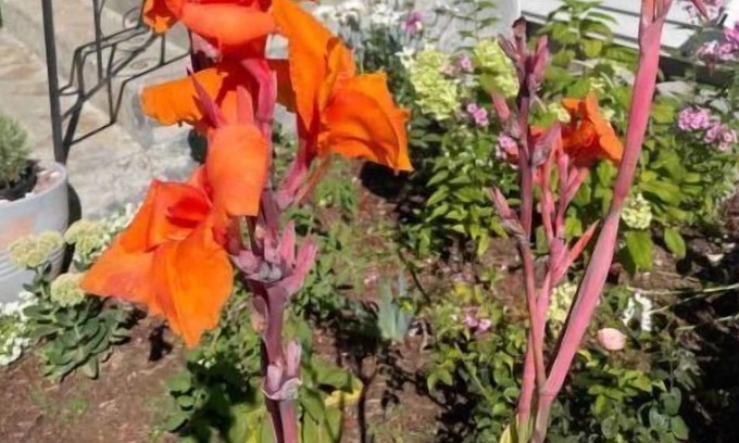 Lincoln Cottage | Lakeside Cottage