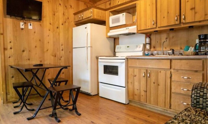 Cadiz Ski Chalet | Lakeview Cozy Chalet 1 - Bring the Dog