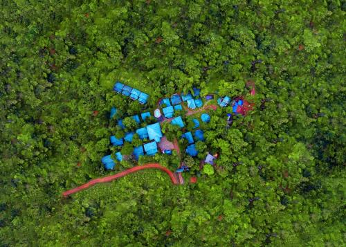 Lakkidi Resort | Lakkidi Village Resort Wayanad