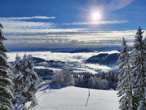 Himmelberg Apartment | Landhaus Karawankenblick