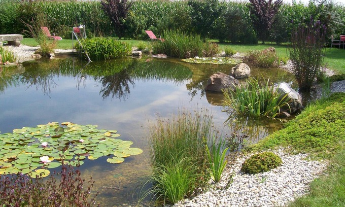 Kirchham Hotel | Landhotel Larenzen