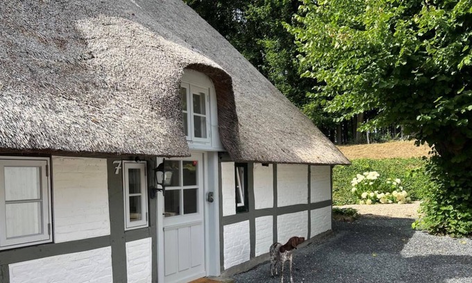 Rieseby Cottage | Landidyll Unter Reet in Schleinähe
