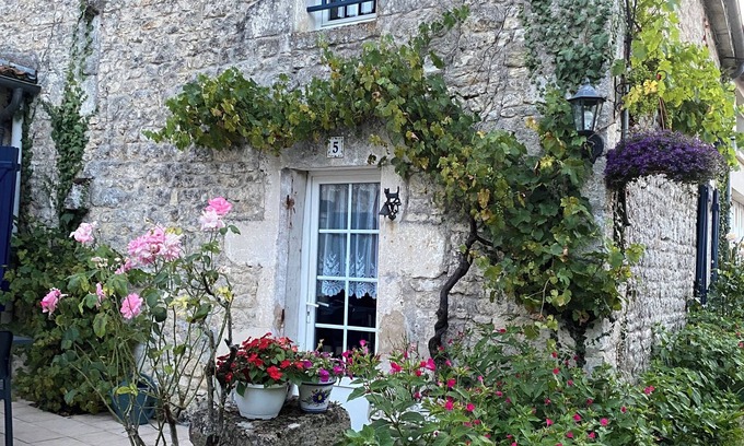 Ardillieres House | Large, quiet gîte, swimming pool, table tennis, table soccer