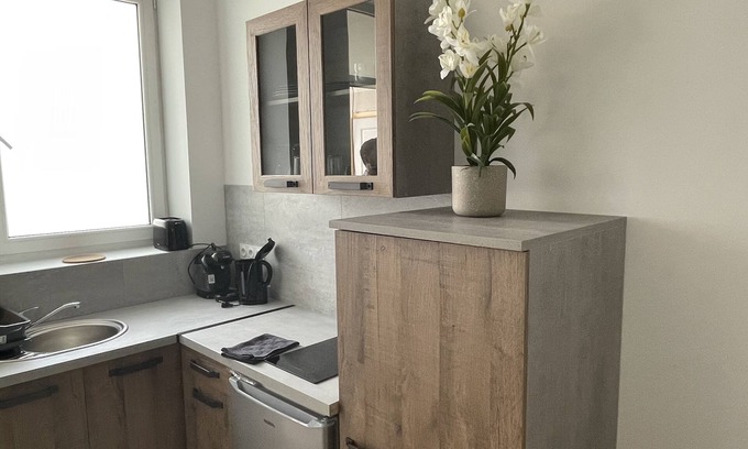 Roanne Apartment | Le 004 de L'avenue, Appartement Tout Confort