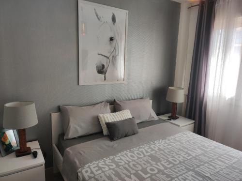 Les Platanes Apartment | Le balcon de la basse centre ville de Perpignan