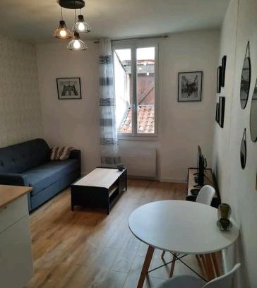 Le Busca Apartment | Le Black and White cosy studio Toulouse centre