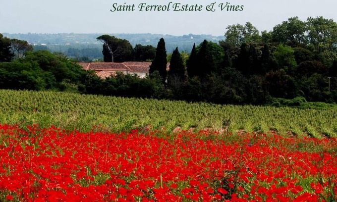 Nizas Villa | Le Caveau spacious vintage vineyard villa at DOMAINE SAINT FERREOL