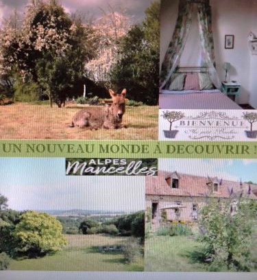 Segrie House | Le Clos Fleuri