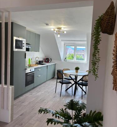 Quartier Saint-Leon Apartment | Le Col'Vert - Appartement 50m2 - Colmar Centre