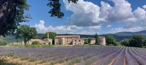 Viens Apartment | Le Cosy Luberon - Viens