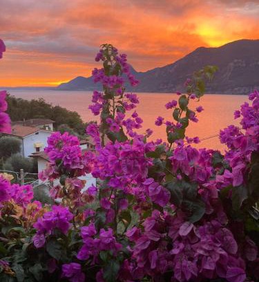 Porto House | Le Due Terrazze