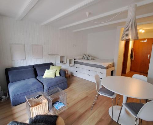 Ovronnaz Apartment | Le Flocon Studio in Ovronnaz close to the baths