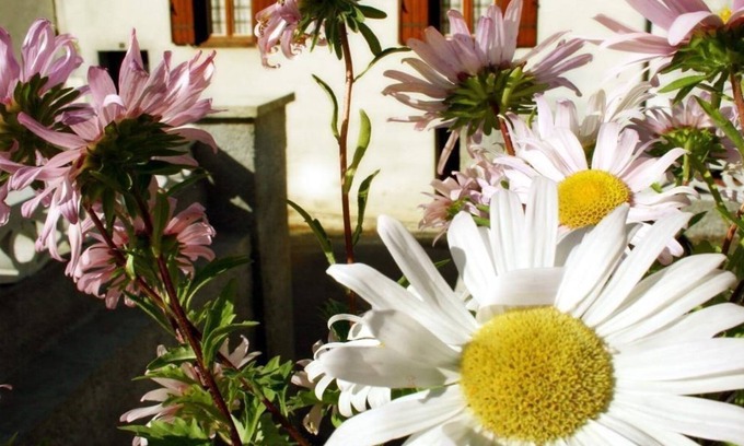 Lacombe Apartment | Le Gîte de Cals Haut - Le Gîte de Cals Haut