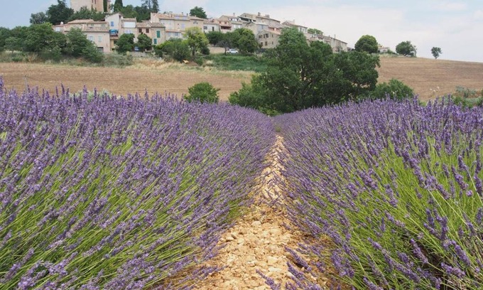 Entrevennes Apartment | Le Gîte de Dédée