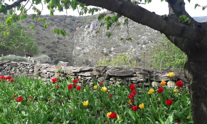 Limousis House | Le Gîte Fleuri - LIMOUSIS