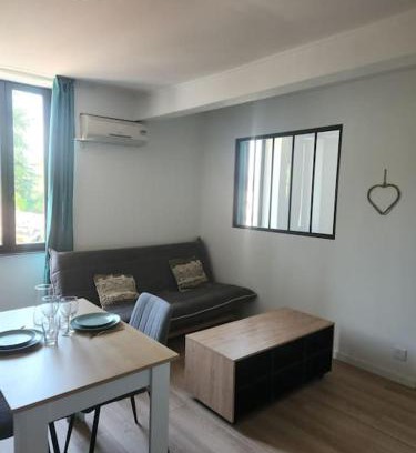 Castres Apartment | Le Maillot V