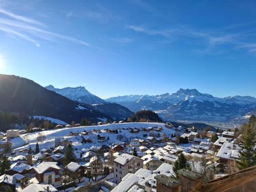 Leysin Apartment | Le Nid d'aigle apt 405 Leysin centre avec tarifs dégressifs et forfait piscine sauna jacuzzi en option