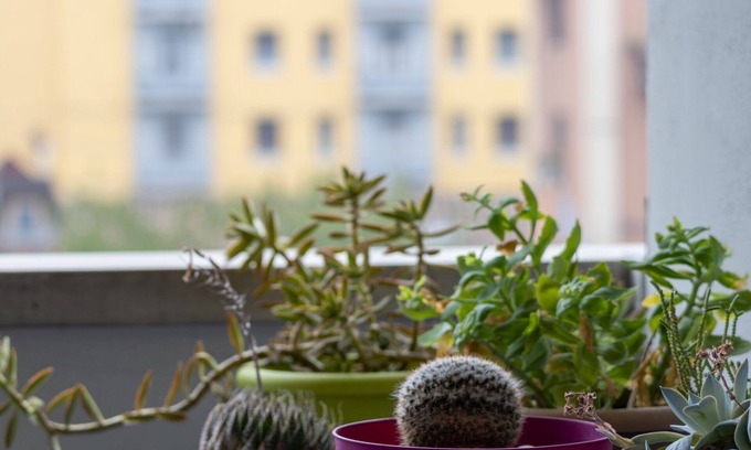 San Donato-San Vitale Apartment | Le Tre Torri Apartment - TWA