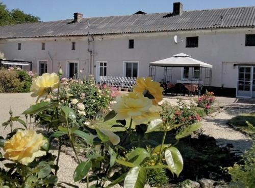 Montreuil-Bellay Bed & Breakfast | Le Vieux Logis