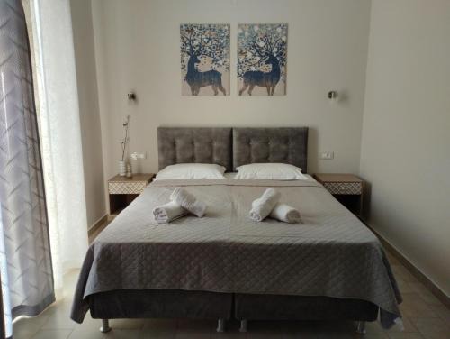 Lakithra Apartment | Lefki Studios