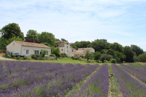 Forcalquier House | Les Ânes de Forcalquier