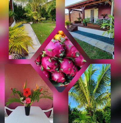 Capesterre-Belle-Eau House | Les cottages de roseau