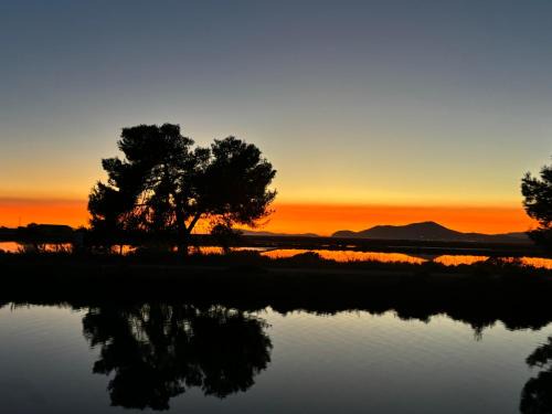 La Capte Apartment | Les Flamants Roses La Capte T2 4 personnes 200m de la plage