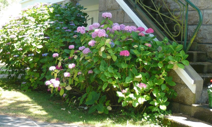 Belz House | Les Hortensias, 3 bedrooms. Large garden, enclosed parking. Near Carnac, Lorient.