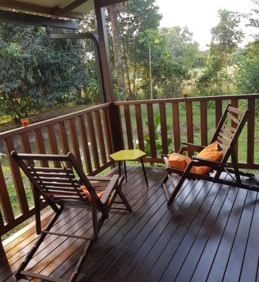 Montsinery-Tonnegrande House | Les Niaoulis