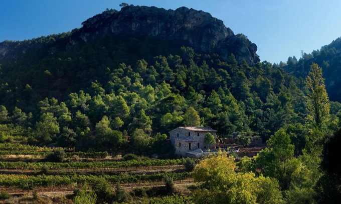 Falset House | Les Quimeres