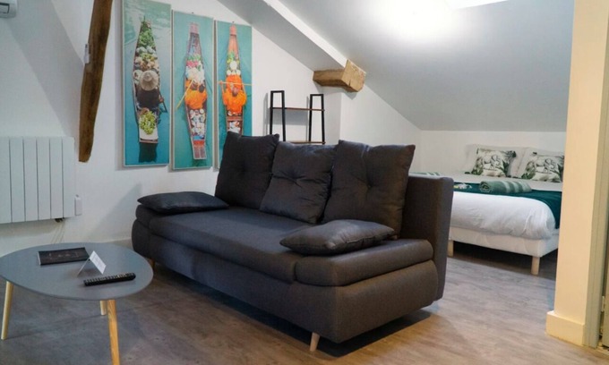 Agen Apartment | ⭐️Les toits d'Agen ❤️ In the heart of Agen⭐️