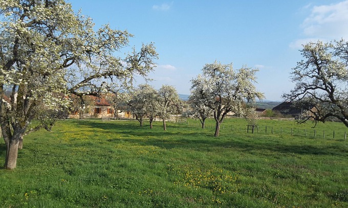 Viry House | "Les Vieux Poiriers" (near Taize, Cluny .) in Bonnay 71460 (Cluniac site)