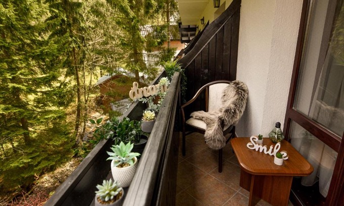 Predeal Apartment | LET'S SKI - Wild & Free Ideal Room with View