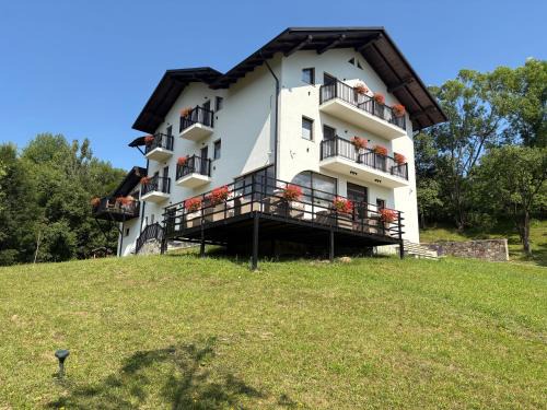 Borsa House | Liniștea Codrului