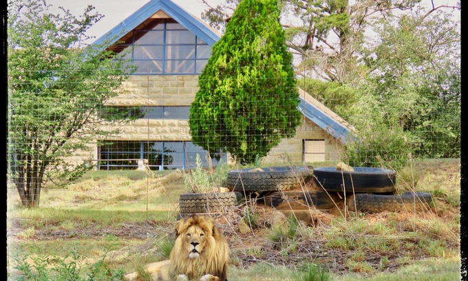 Harrismith House | Lion Lodge @ggconservation