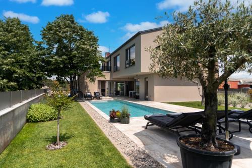 Novigrad Villa | Lipa Tree