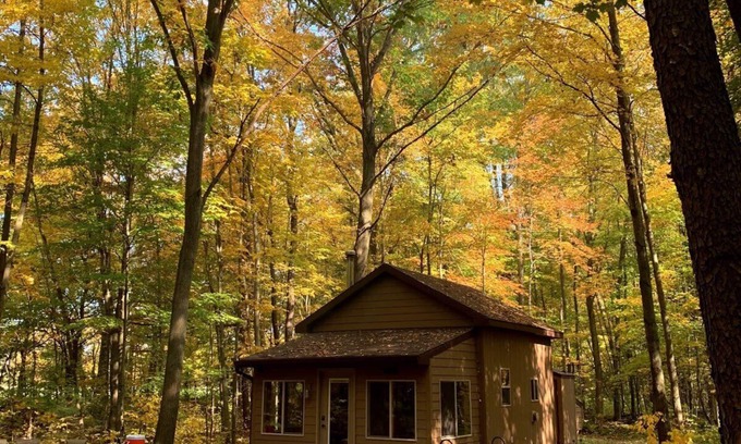 Mosherville Cabin | Little Cabin in the Woods - Quiet