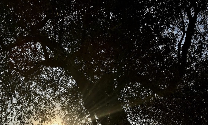 Tellaro Apartment | Little Capo with Panoramic Sea Views for 2! free Wi-fi