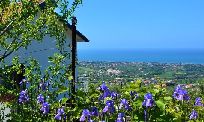 Castellabate Cottage | Little house in the hills in Castellabate, very scenic