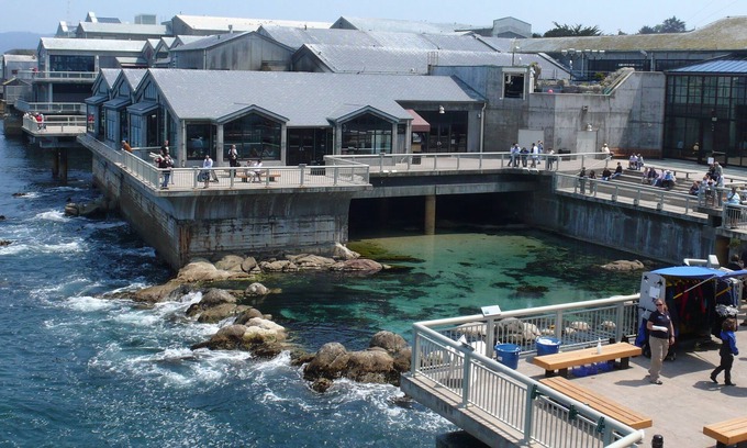 Monterey Cottage | Little Jewel Box, Voted Top Monterey Rental, 12 Blocks to Ocean,
