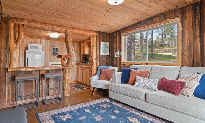 Custer Apartment | Little Joy: Needle Spire Views + Sauna + Wildlife