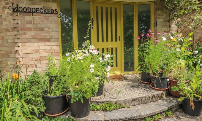 Martin Cottage | Little Yaffle