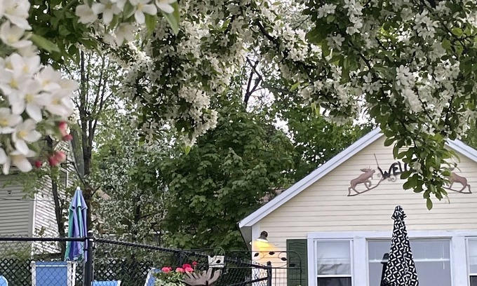 Weirs Beach Cabin | Location, Location, Location! Weirs Beach