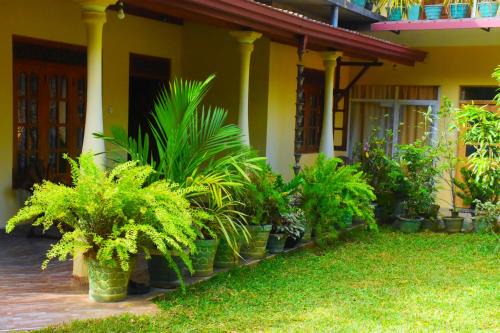 Udawalawa House | Lodge In The Valley Udawalawa