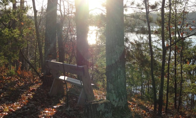 Hayward House | Loons on the spring lake