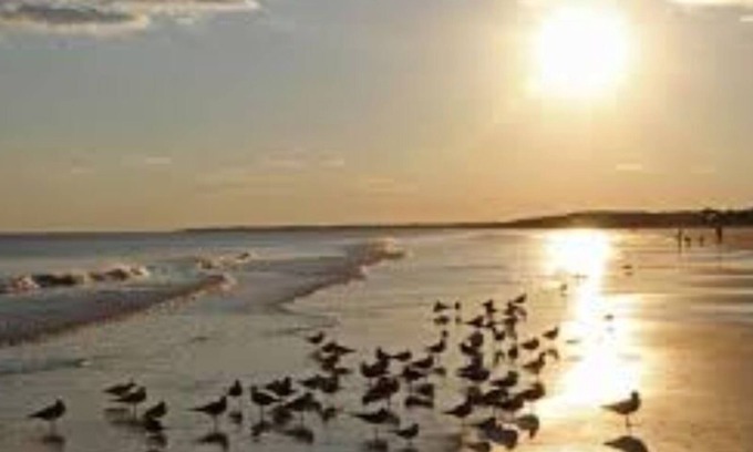 Johns Island Apartment | Loo’s RoostnA small suburban farm setting with Charleston area amenities