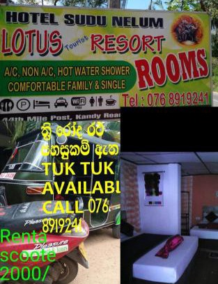 Dambulla House | Lotus Inn Tourist Resort