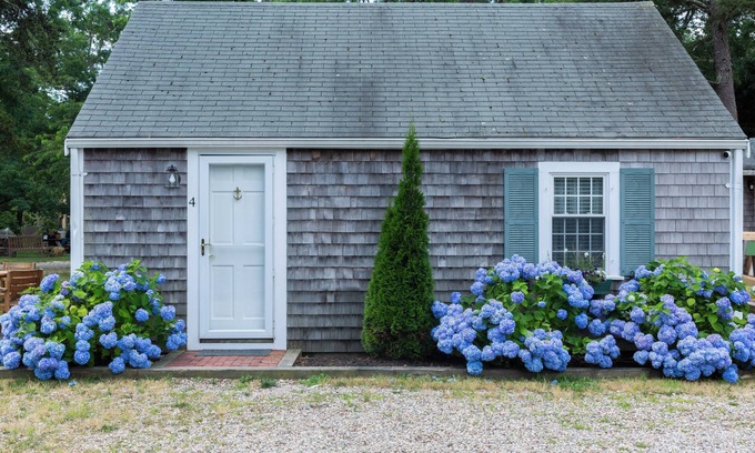 East Sandwich Cottage | Lovely 2 bedroom cottage in historic Sandwich w/WiFi, AC. Near beaches, Pets OK